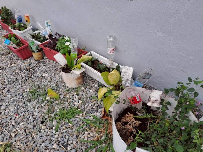 05/07 心靈花園 戶外植栽